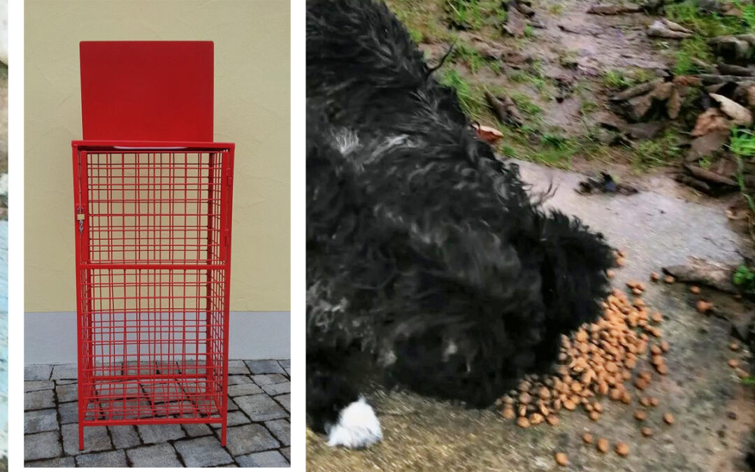 Tierschutzverein Bellas Pfotenhilfe Hunderettung Bosnien Futterlager füllen Futterspendenbox gesucht