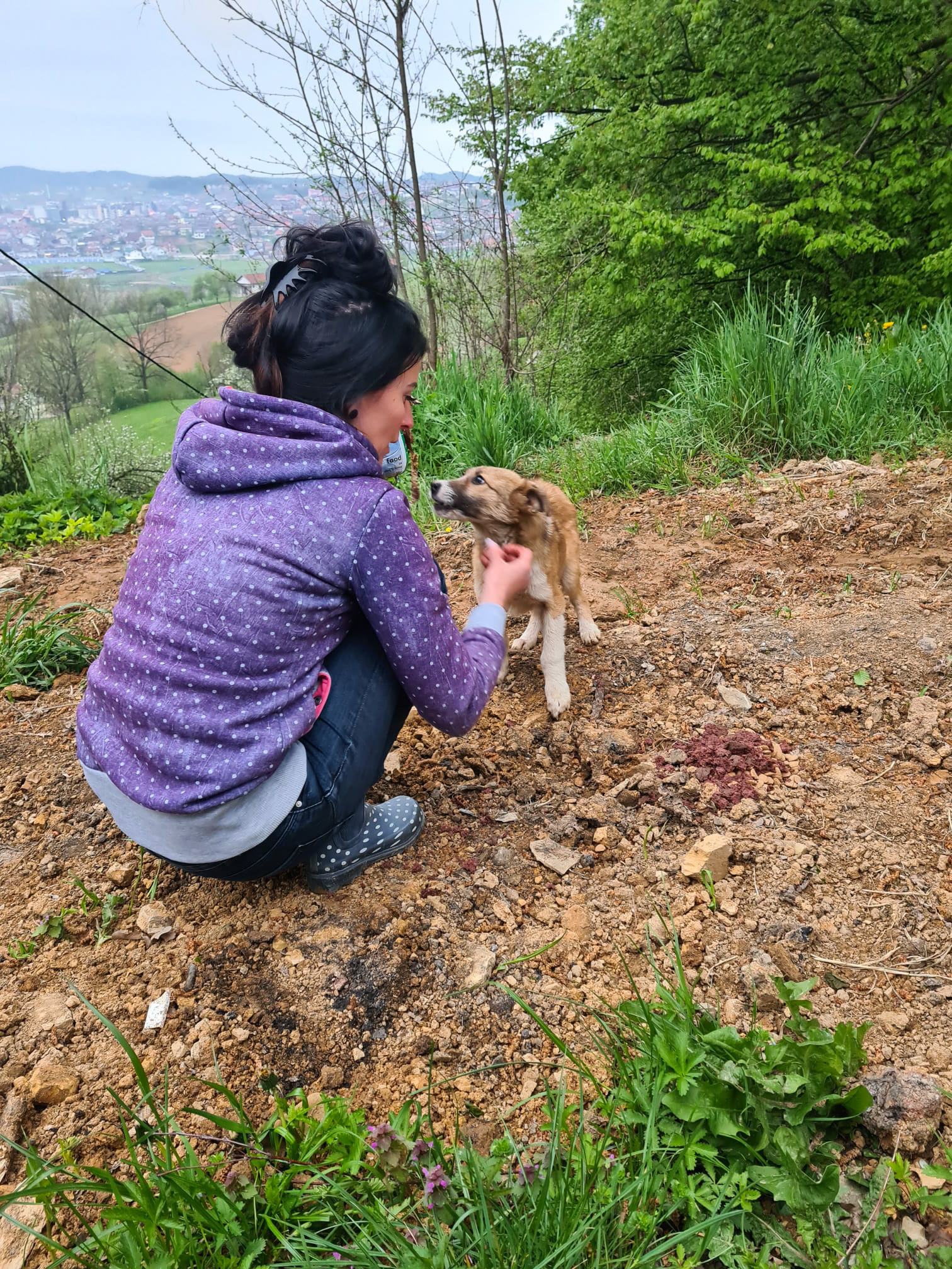 Tierschutzverein Bellas Pfotenhilfe Hunderettung Bosnien Hund adoptieren helfen Spenden Ehrenamt Pflegestelle