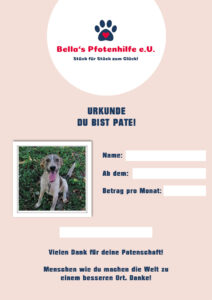 Tierschutzverein Bellas Pfotenhilfe Patenschaft für Hund übernehmen