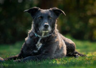 Bärchen (bereits in Deutschland)