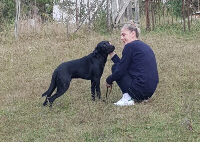 Tierschutzverein Bellas Pfotenhilfe Hunderettung Bosnien Hund adoptieren Toprak