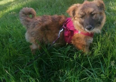 Hailey