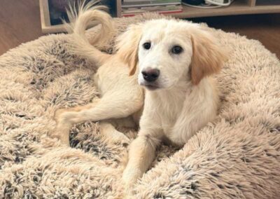 Elsa (bereits in Deutschland)