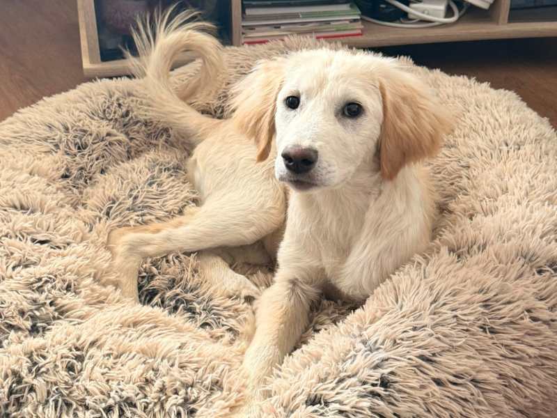 Elsa (bereits in Deutschland)