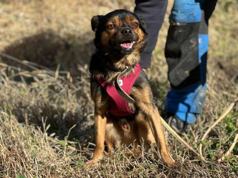 Manni (bereits in Deutschland)