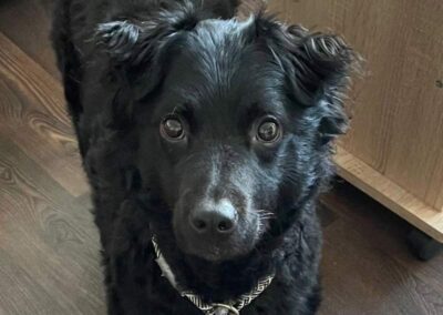 Bruno (bereits in Deutschland)